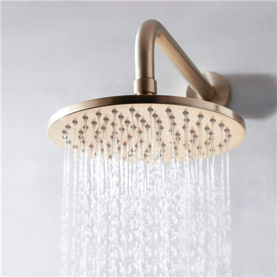 Rainshower Shower Head